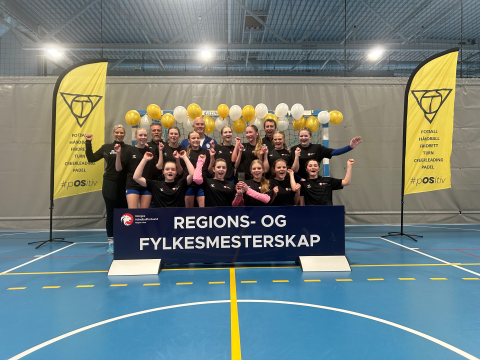 bjargj14 vinner j14b fm.png