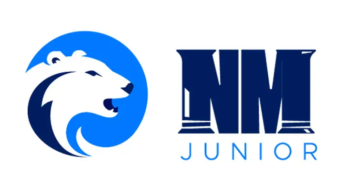 NM junior 2026 artikkel.jpg