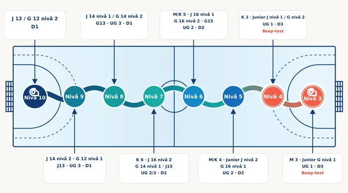 ringsystem-dommernivaa (1).jpg