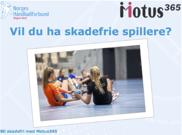 Motus.png
