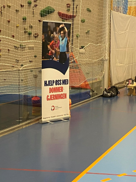 dommergjerningen soneturnering.png