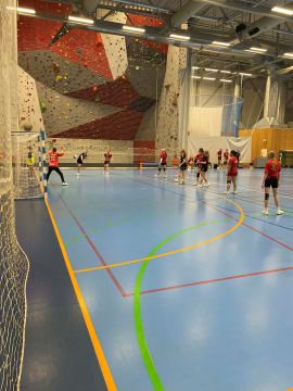 J201 soneturnering.png