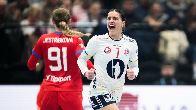 20251205 Skogrand.jpg