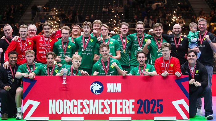 20252812 Fjellhammer 1.jpg