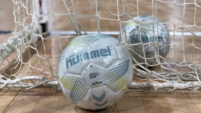 20221314-hummel-ball-LMS-trening-Aarhus-3-Foto-Lars-Kvam.jpg