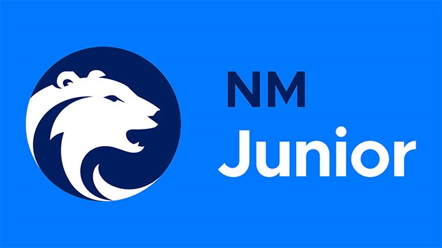 NM Junior logo.jpg