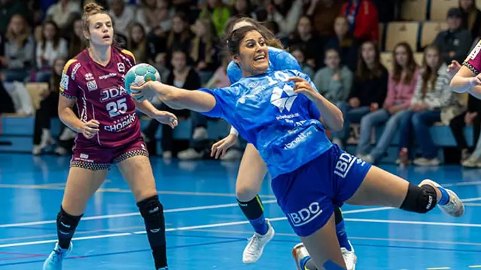 Molde-Dijon