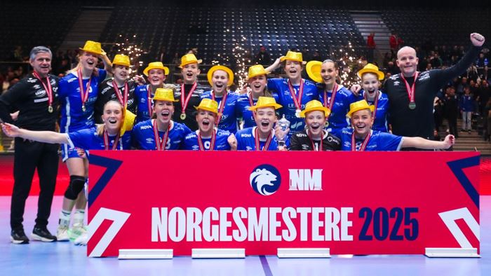 20252812 Tertnes Gull.jpg