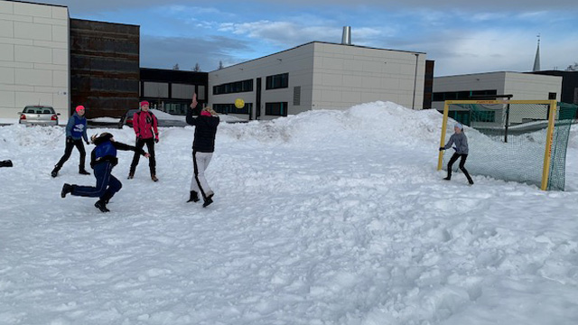 Sn&oslash;h&aring;ndball_2.jpg