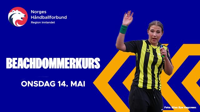 Beachdommerkurs 25 NY.jpg