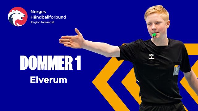 dommer 1 elverum.jpg