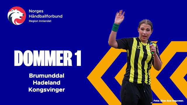 dommer 1 sep 2024.jpg