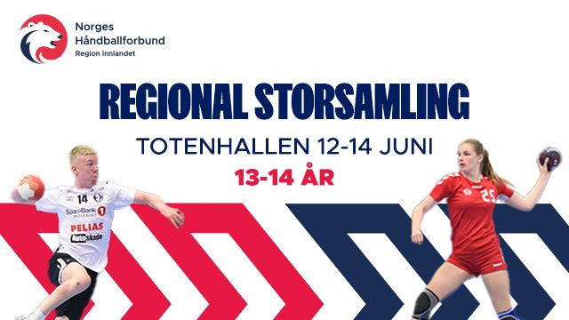 regional storsamling 2026.jpg