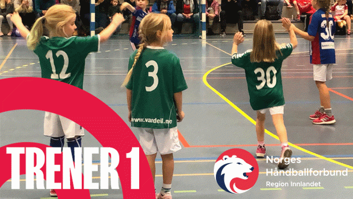 Trener-1.gif