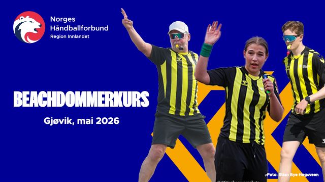 Beachdommerkurs 2026.jpg