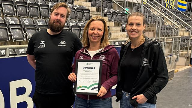 storhamar nivå 2.jpg