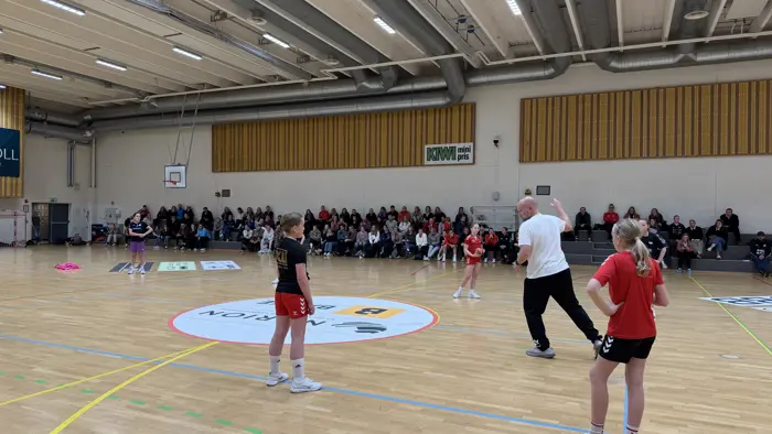 Barnehåndballseminar.JPG