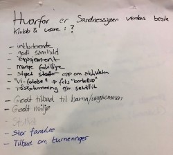 Sandnessjøen-4.jpeg