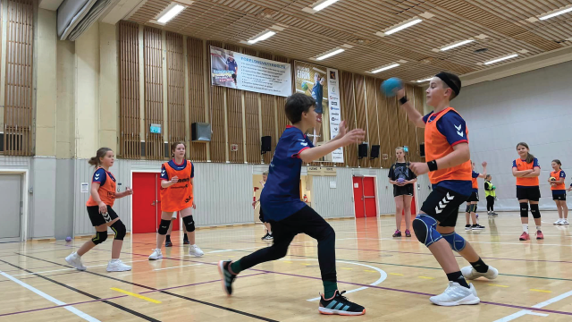 REMA 100 Håndballskole Bjugn.png