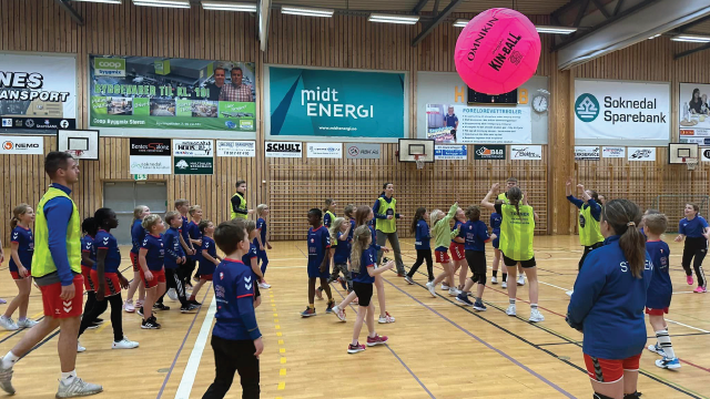 REMA 100 Håndballskole Støren.png