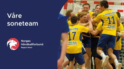Hva er Soneteam?