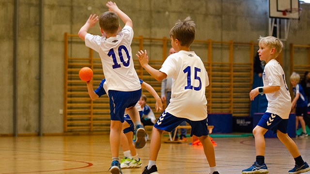 Barnehåndball2019.jpg