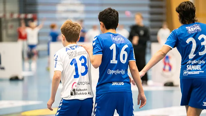 Temaserien_2022_17.jpg