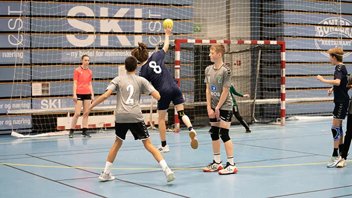 Temaserien_2022_finte.jpg