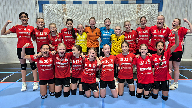 Temaserien_J12_N1_R2_Tindlund blå.jpg