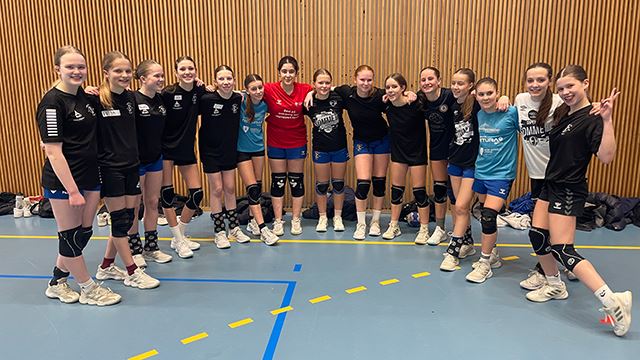 Temaserien_J13_N1_R4_Bøler.jpg