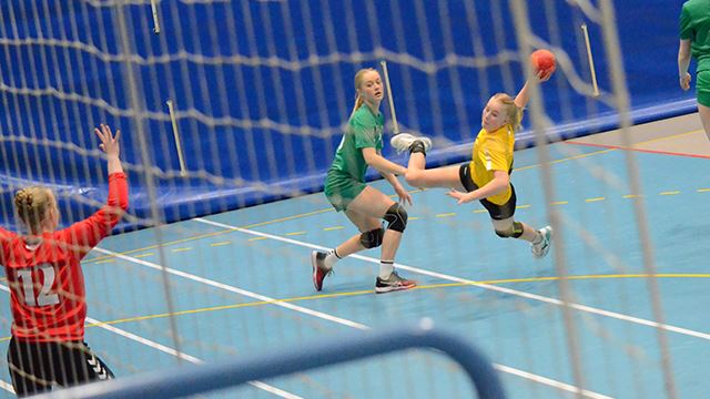 Arkivfoto Bylag_2019_netting.jpg