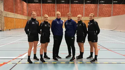 Landsdelsamling
