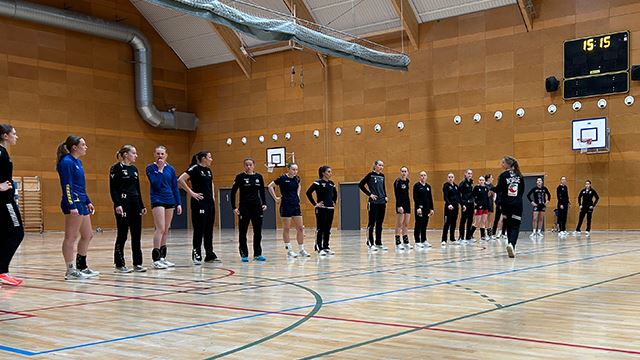 Foto: Trine Sneeggen Fors (NHF RØ) Landsdelssamling_2024_RØ_RS_4.jpg