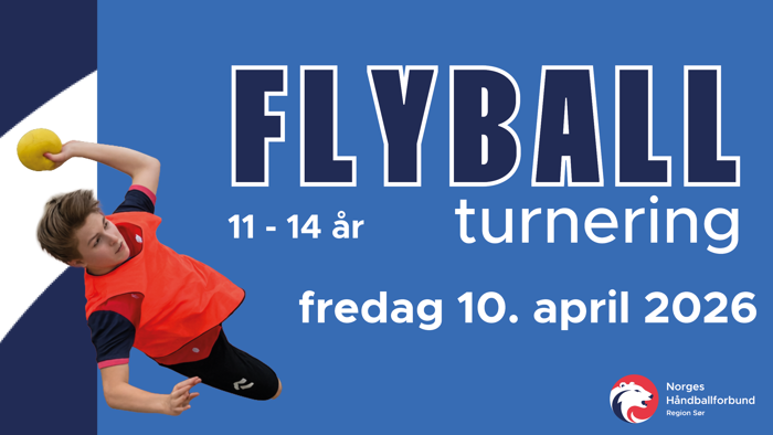 16 9 flyball 2026.png