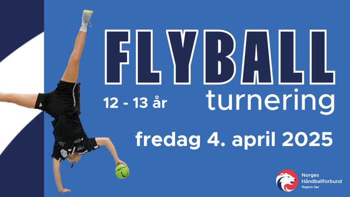 16 9 flyball.png
