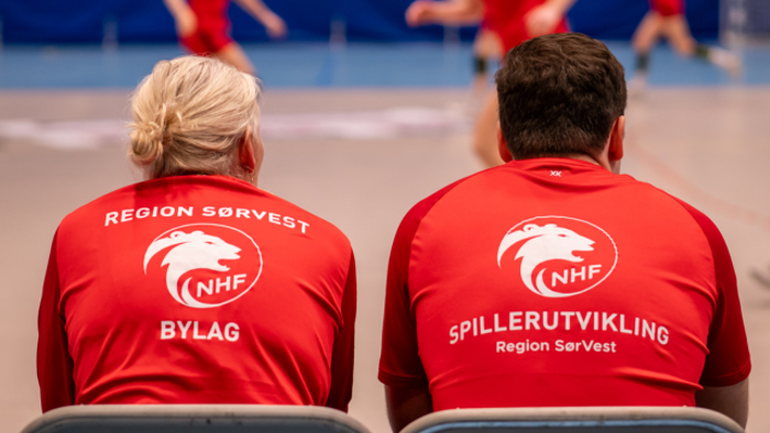 Spillerutvikler.png