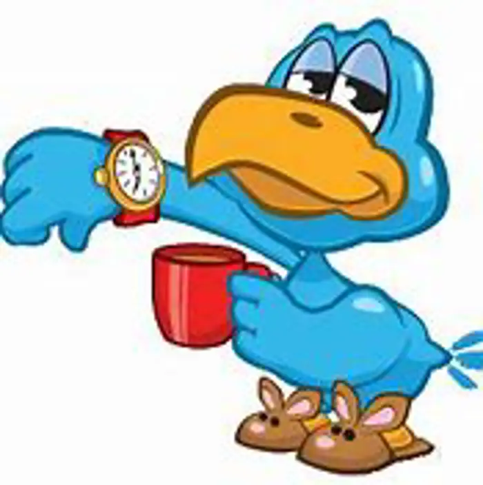 Early Bird.jpeg