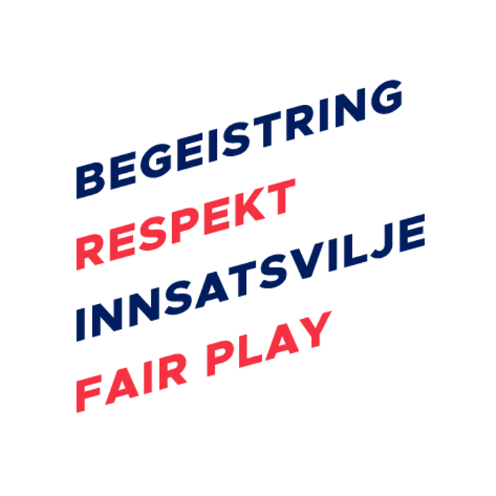 NHF_Verdier_Ekspressiv_RGB_Blå.png