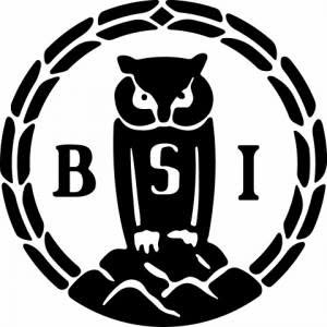 Bsi.png